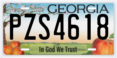 GA license plate PZS4618