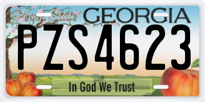 GA license plate PZS4623