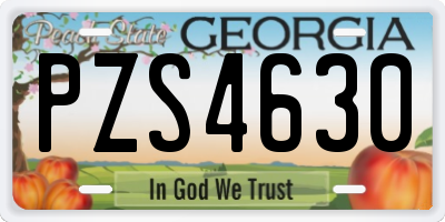 GA license plate PZS4630