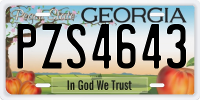 GA license plate PZS4643