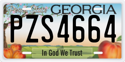GA license plate PZS4664