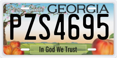 GA license plate PZS4695