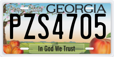 GA license plate PZS4705