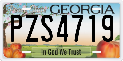 GA license plate PZS4719