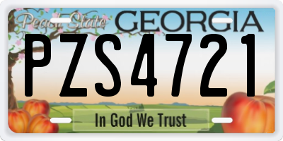 GA license plate PZS4721