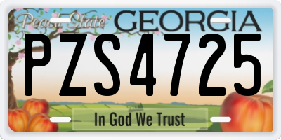 GA license plate PZS4725