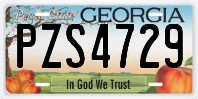 GA license plate PZS4729