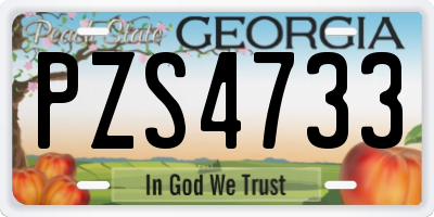 GA license plate PZS4733