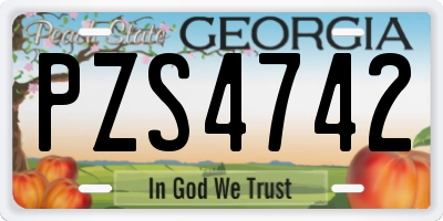GA license plate PZS4742