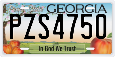 GA license plate PZS4750