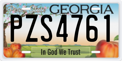 GA license plate PZS4761