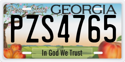 GA license plate PZS4765