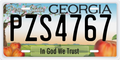 GA license plate PZS4767