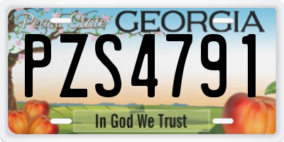 GA license plate PZS4791
