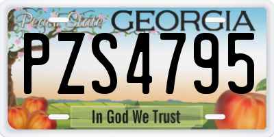 GA license plate PZS4795