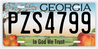 GA license plate PZS4799