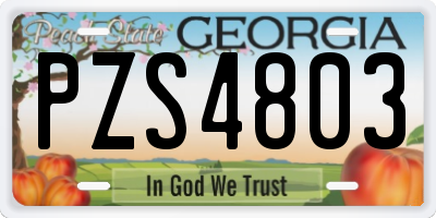 GA license plate PZS4803