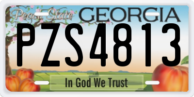 GA license plate PZS4813