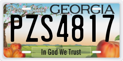 GA license plate PZS4817