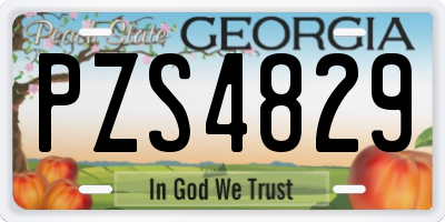 GA license plate PZS4829