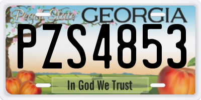 GA license plate PZS4853