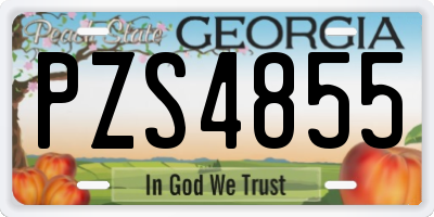 GA license plate PZS4855