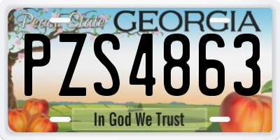 GA license plate PZS4863