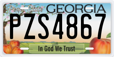 GA license plate PZS4867