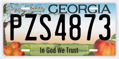 GA license plate PZS4873