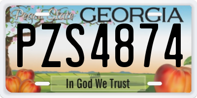GA license plate PZS4874