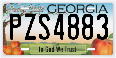 GA license plate PZS4883