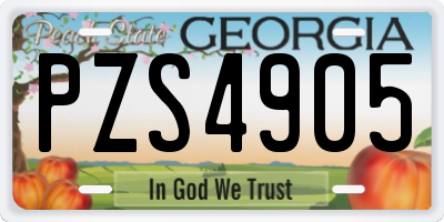 GA license plate PZS4905