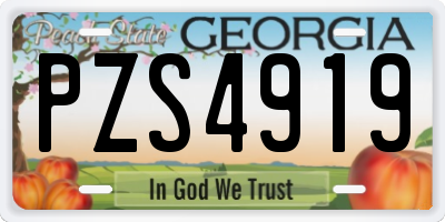 GA license plate PZS4919