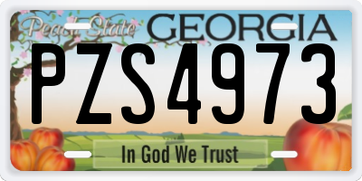 GA license plate PZS4973