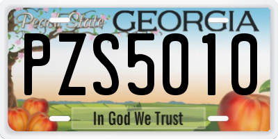 GA license plate PZS5010