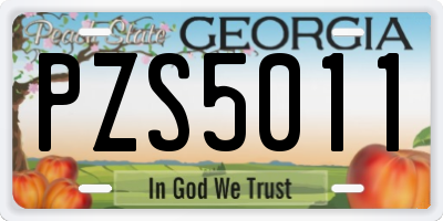 GA license plate PZS5011