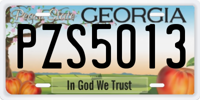 GA license plate PZS5013