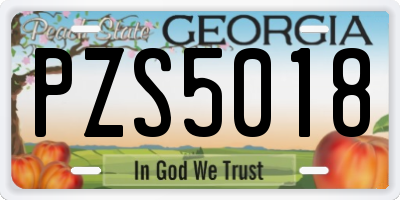 GA license plate PZS5018