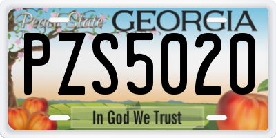 GA license plate PZS5020