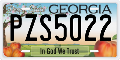 GA license plate PZS5022