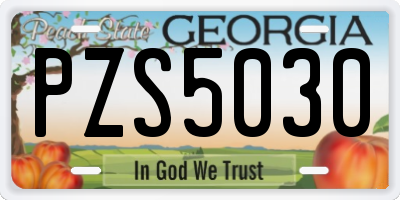 GA license plate PZS5030
