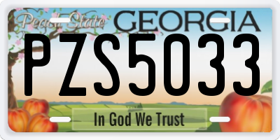 GA license plate PZS5033