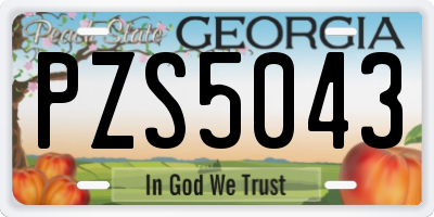 GA license plate PZS5043