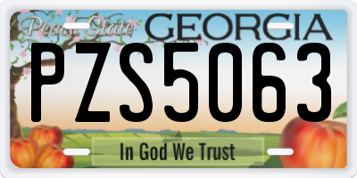 GA license plate PZS5063