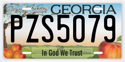 GA license plate PZS5079