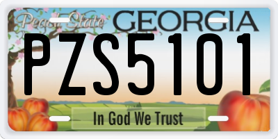 GA license plate PZS5101