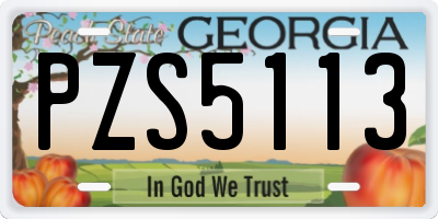 GA license plate PZS5113