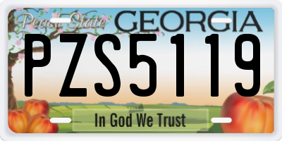 GA license plate PZS5119
