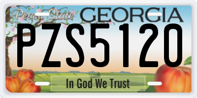 GA license plate PZS5120