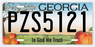 GA license plate PZS5121